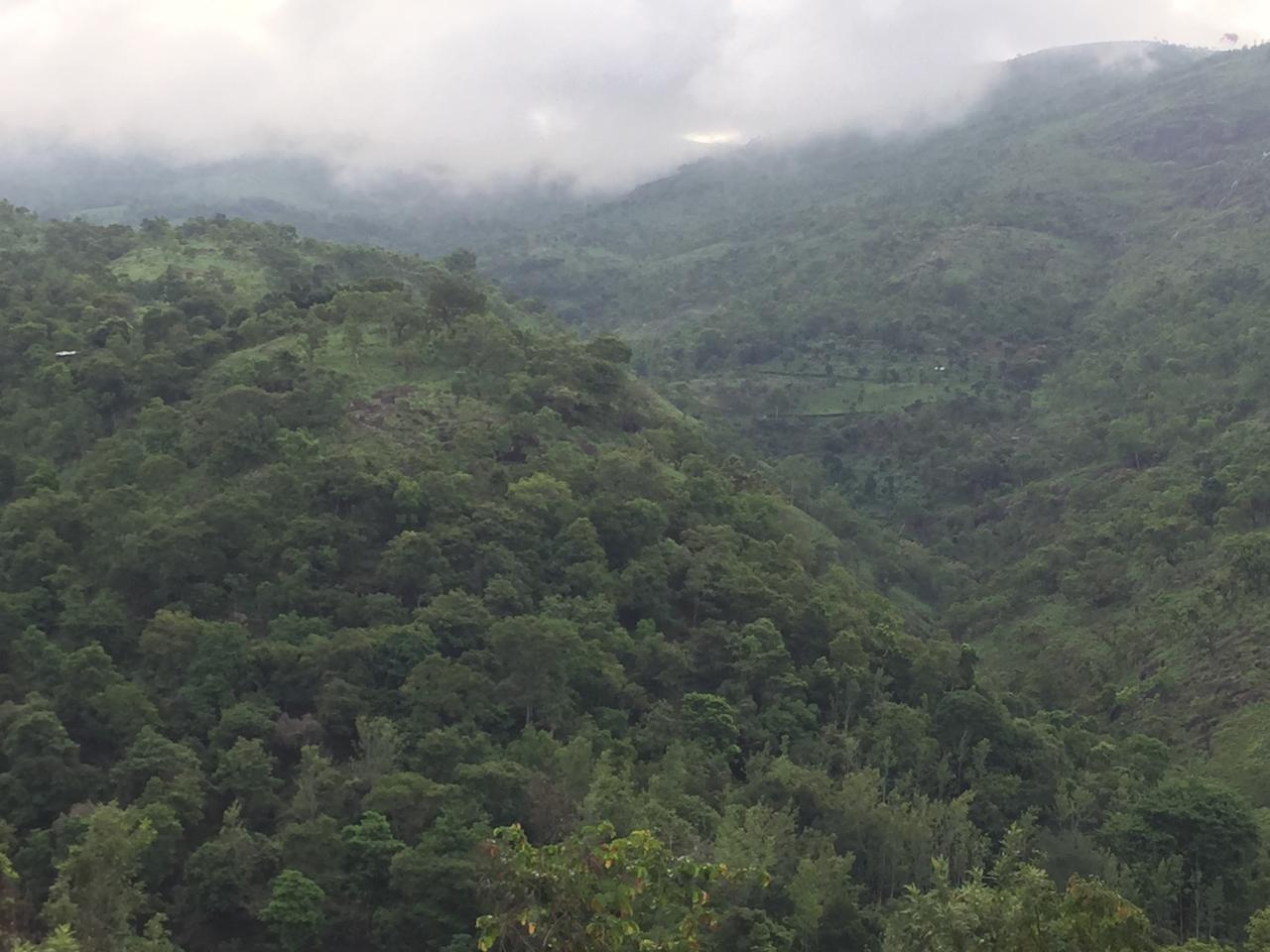 Viewpoint 2