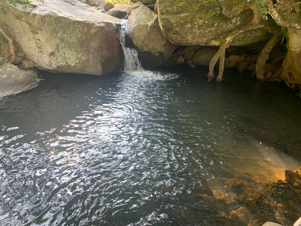 Waterbody